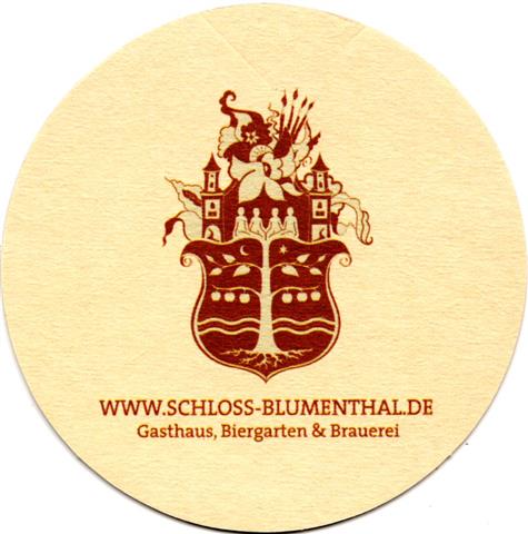 aichach aic-by blumenthal rund 1a (215-www schloss)